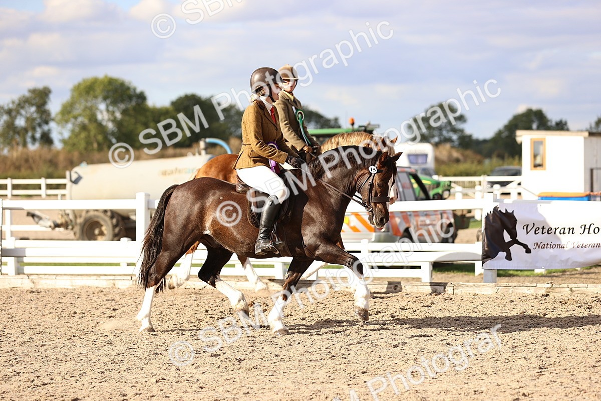 SBM_18306 - Class 423 - Equitation (best rider) Adult