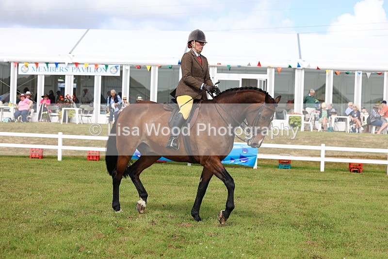 3E7A9454 - Class 4: Rising Star M/H Hunter