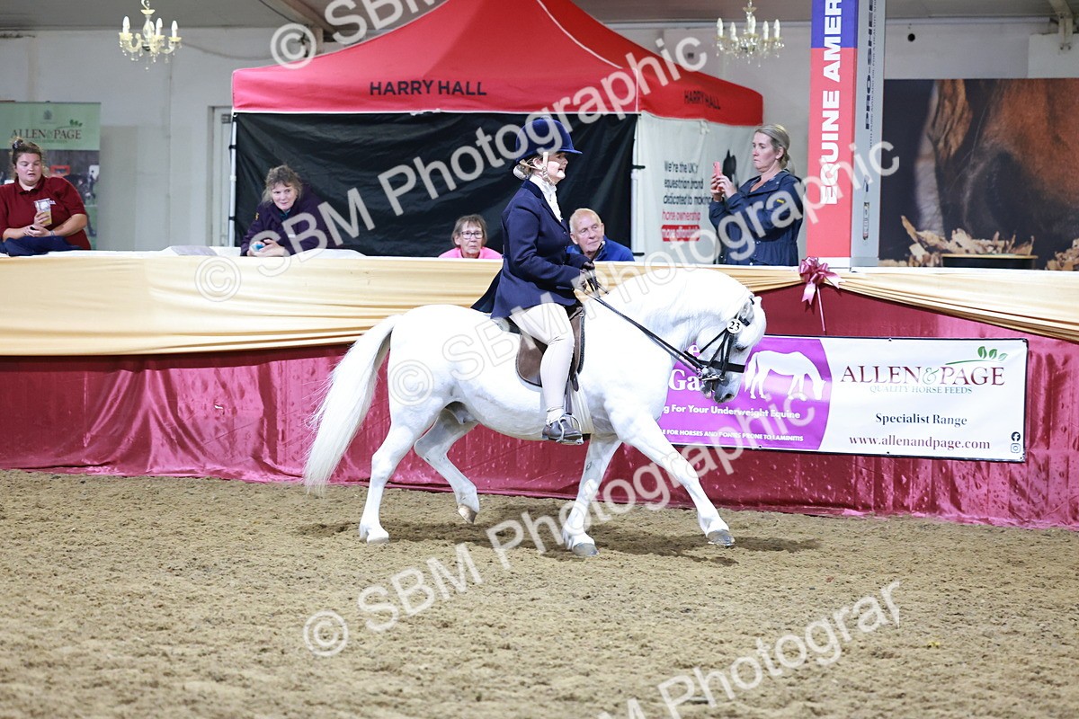 SBM_21063 - Class P - M&M Champs