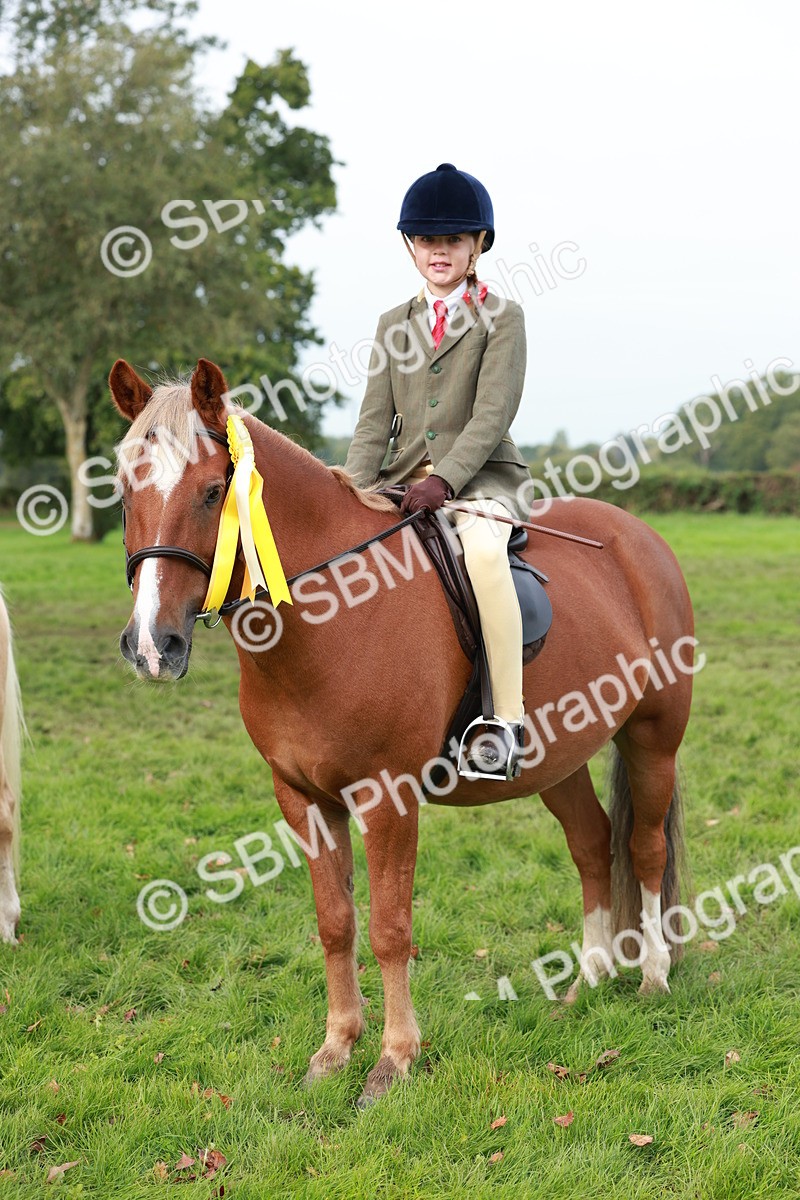 SBM_56505 - S39 - Starters In Hand Showing