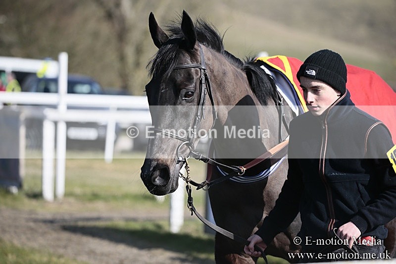 PtP 240218 187 - Vine & Craven Hunt Point-to-Point Barbury racecourse 24/02/18