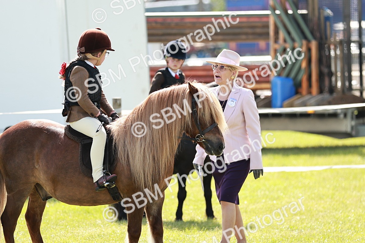 SBM_12758 - Class 106-107 - BSPS LIHS Working Sports Pony