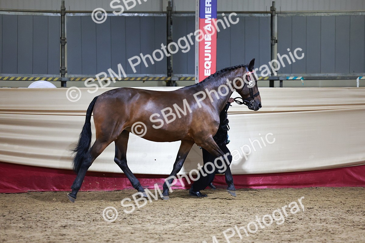 SBM_20620 - Class I - Ridden Pony Champ