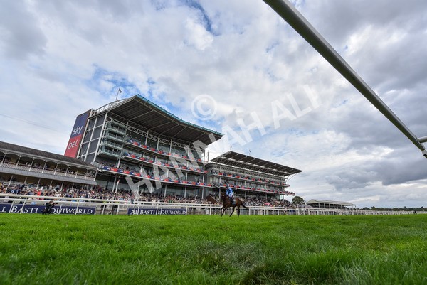 220825-Race 4-Asfoora-9438 - Race 4 3.35pm Coolmore Wootton Bassett Nunthorpe Stakes