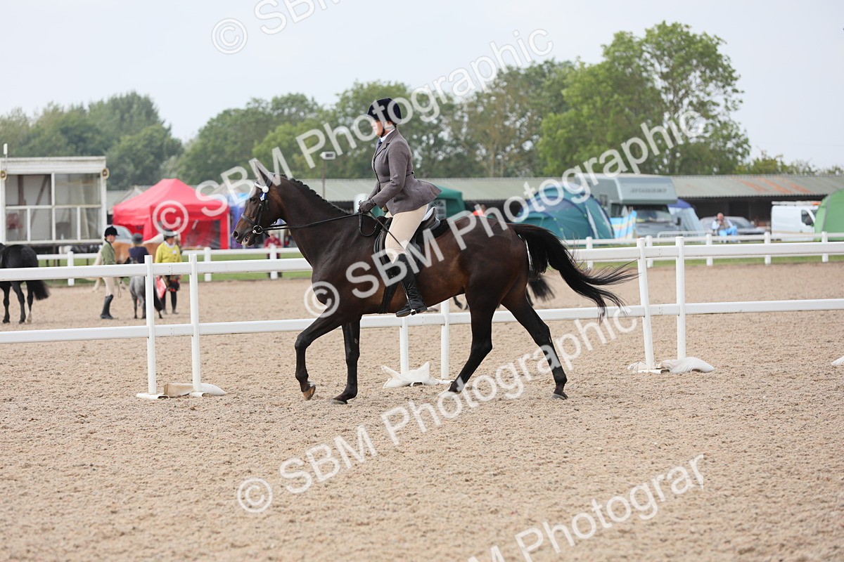 SBM_11451 - Class 305 Ridden Foreign Breeds- Pure Bred