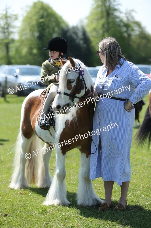 20250427-2673 - Class 6 - Pony Judge Would Most Like To Take Home