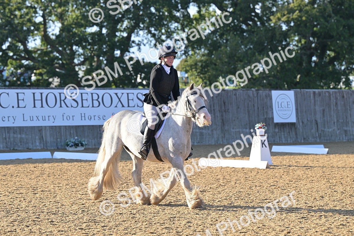 SBM_13115 - D3 - Small Tour Championship Intro 3