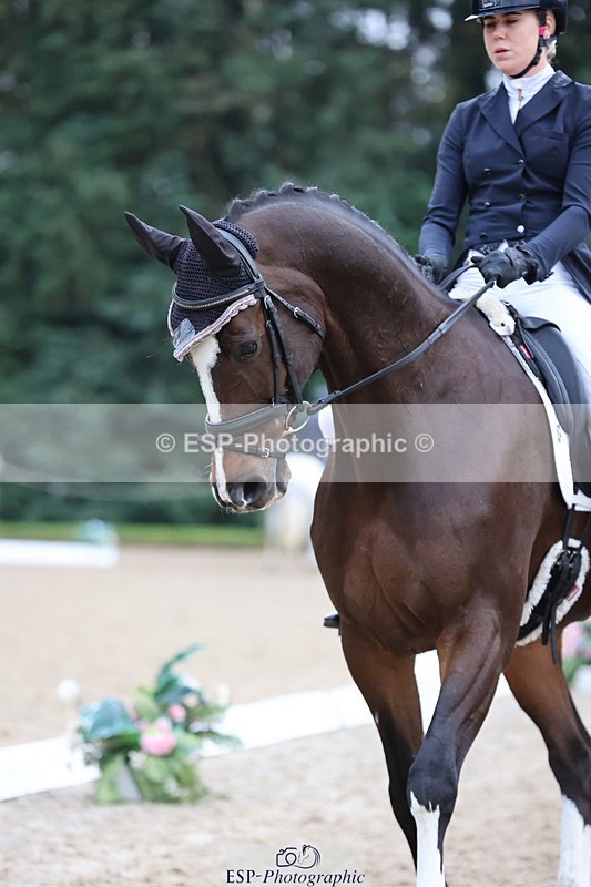 241024-090503-01208 - 202-Toots.Bartlett-C.WHY