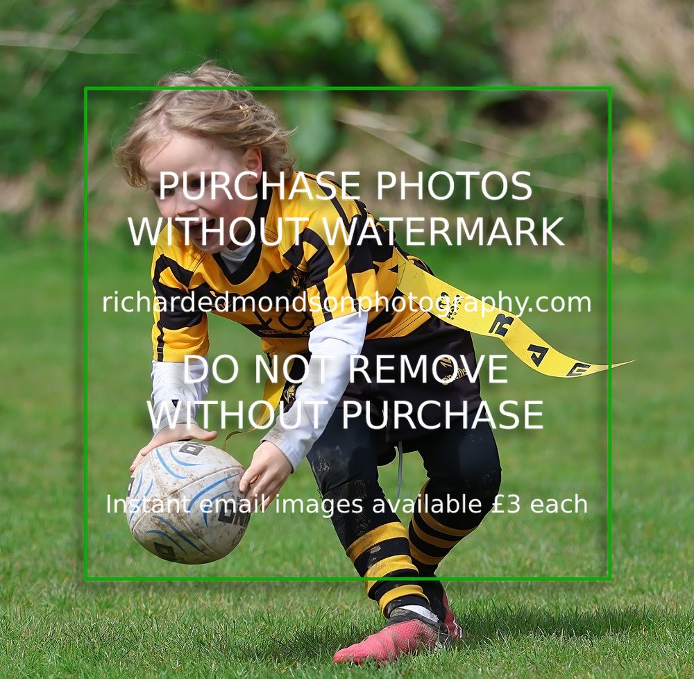 533A5382 - Kendal Rugby Under 7's (12/4/26)
