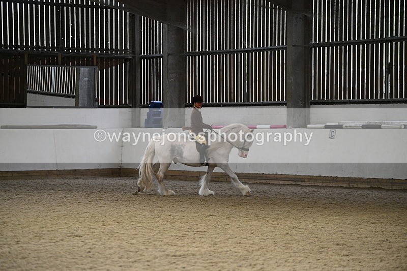 WJ7_3745 - Class 16 Ridden Coloured/ Odd Coloured