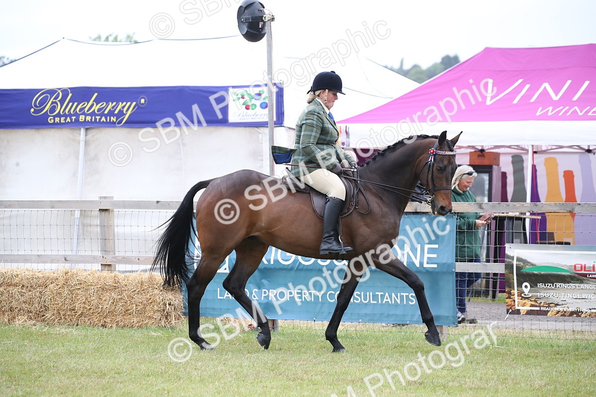 SBM_11388 - Class 94 - LIHS BSHA Racehorse to Showhorse