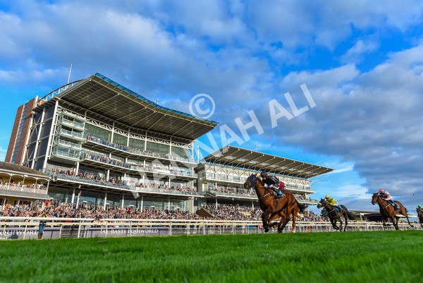 230923-Race 7-Two Brothers-3515 - Race 7 5.30pm Neil Atkinson's 60th Birthday Celebration Handicap
