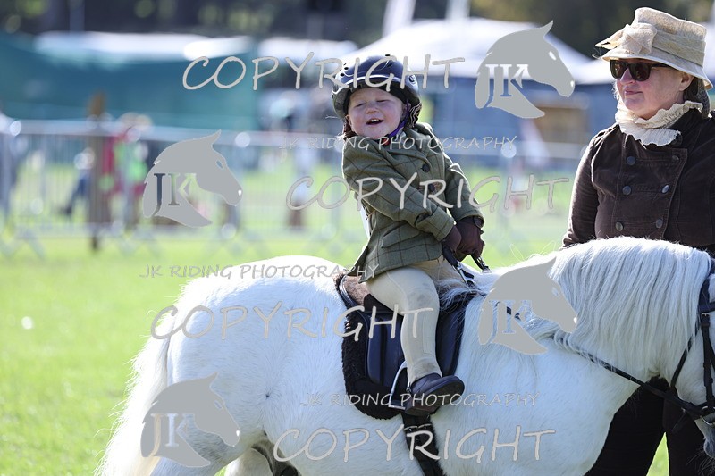 APP_3899 - Class 13 Lead rein