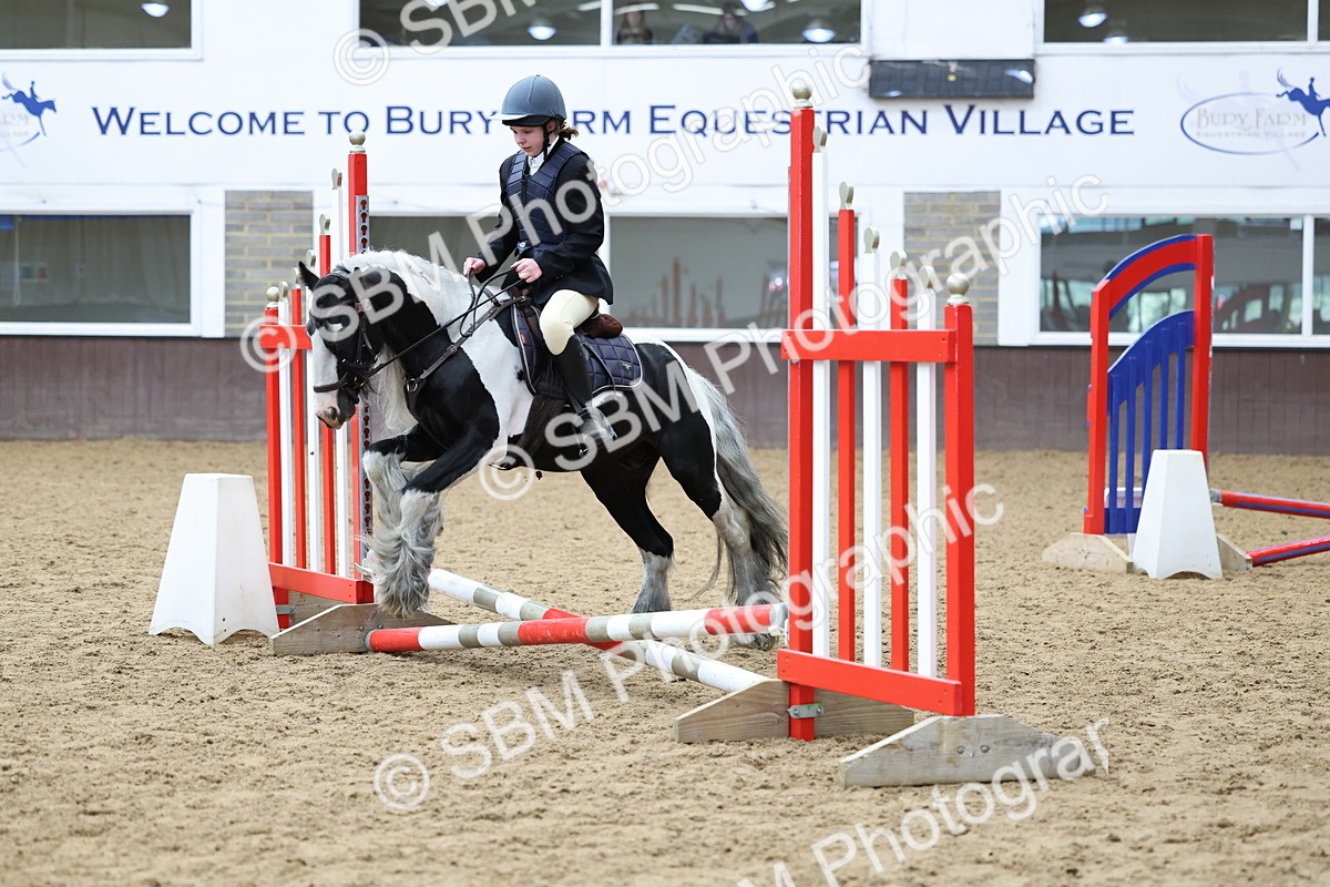 SBM_006967 - Class 1 - 40cm showjumping