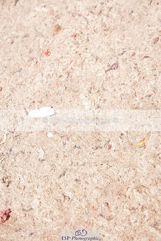 250510-111302-11044 - Cls 15 Prestige Big Star Qualifier