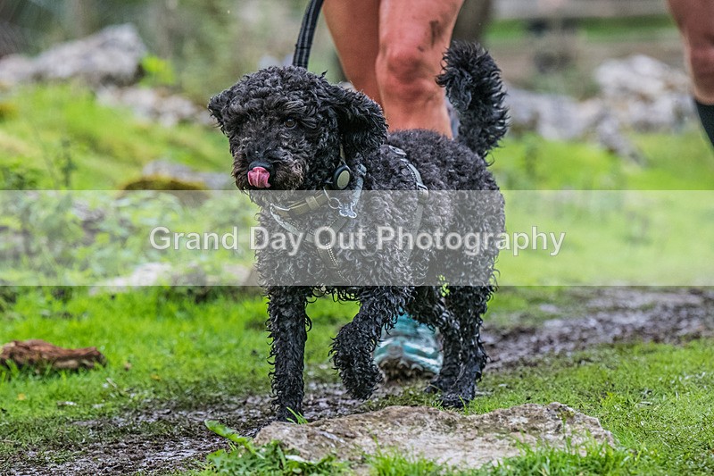 Dovedale Dash-1206 - Dovedale Dash Sunday 5th October 2025
