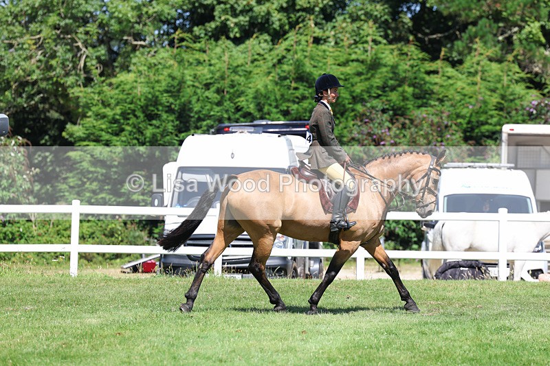 3E7A9123 - Working Hunter Championship