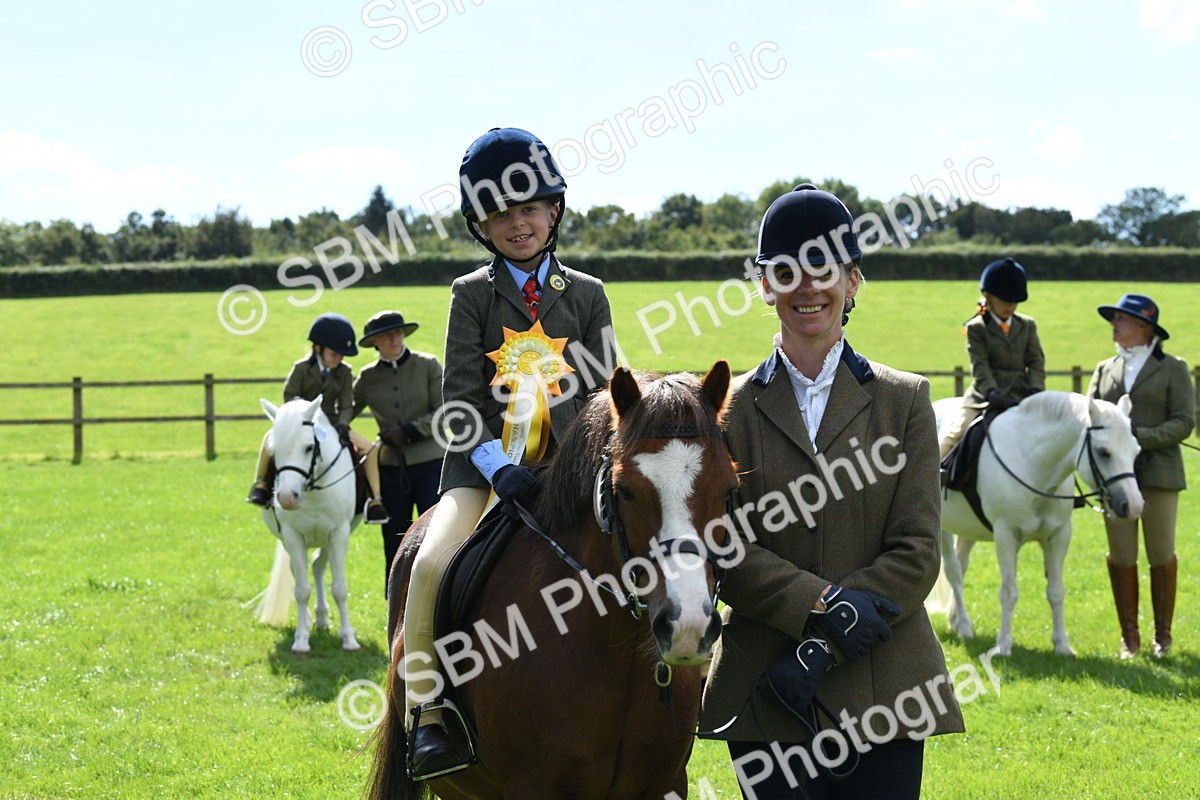 SBM_42659 - S20 - Lead Rein Mountain & Moorland Pony