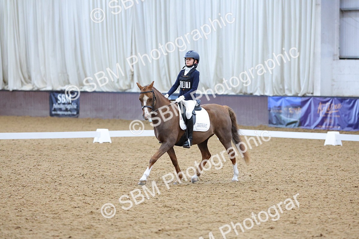 SBM_003677 - Novice