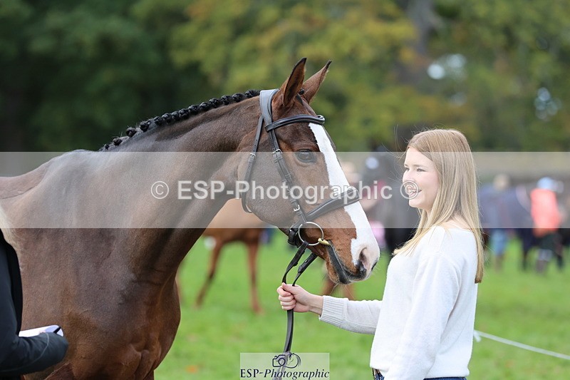 251026A-104319-23219 - F-406-Georgie.Down