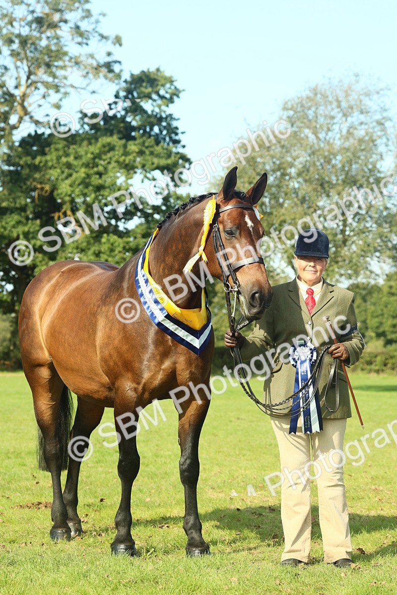 SBM_61163 - Starter Supreme Championship