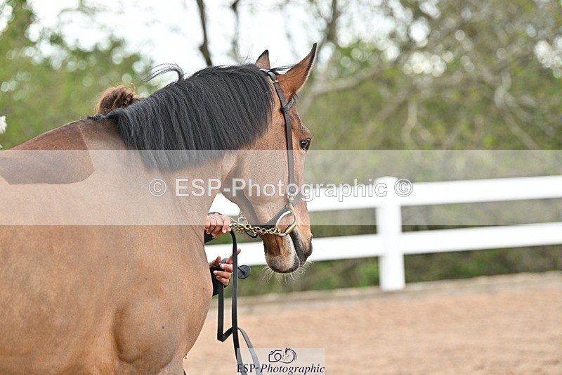 250423-130443-00429 - 1pm to 2pm