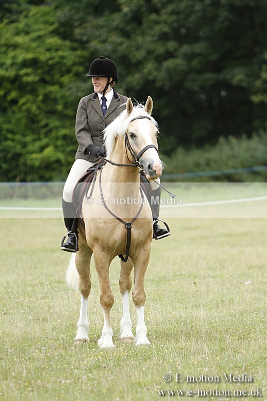 BVR160717-99 - Ring 3 BVRC Show 16/07/17