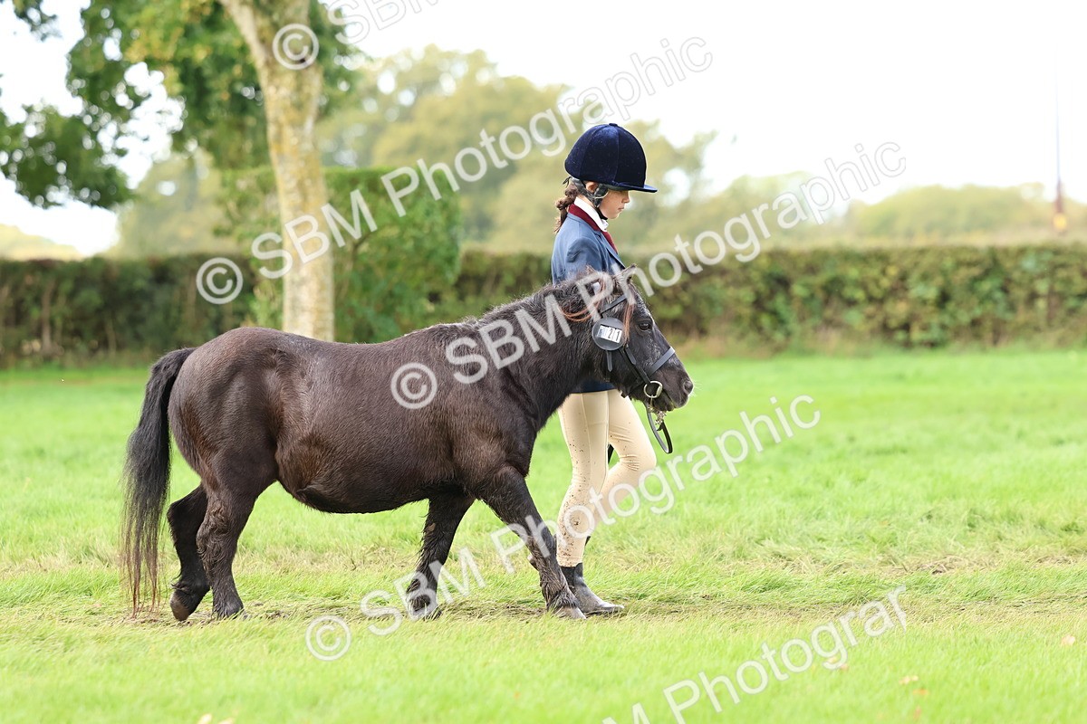 SBM_40702 - S25 -  Veteran In Hand