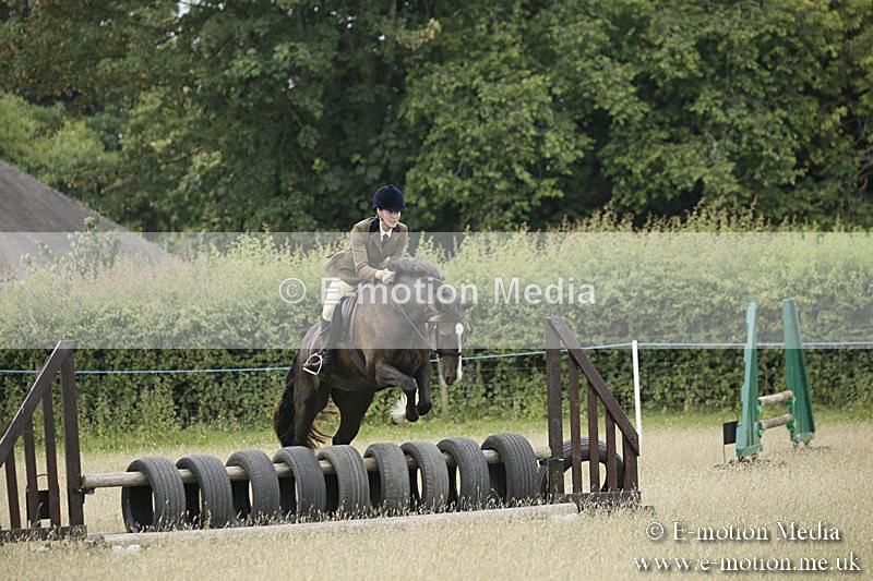 B230619-0084 - Bourne Valley Riding Club Summer Show 23/06/19