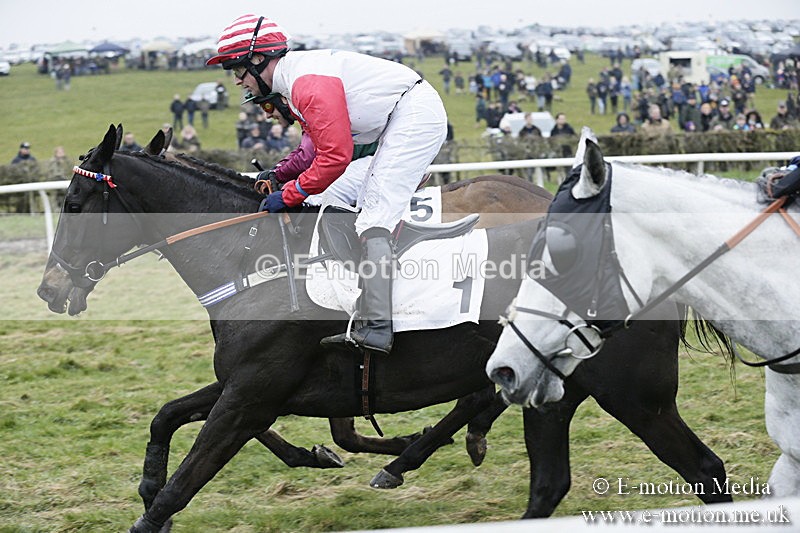 PtP 020418 -48 - Old Berks Point-to-Point Races Easter Monday 02/04/18