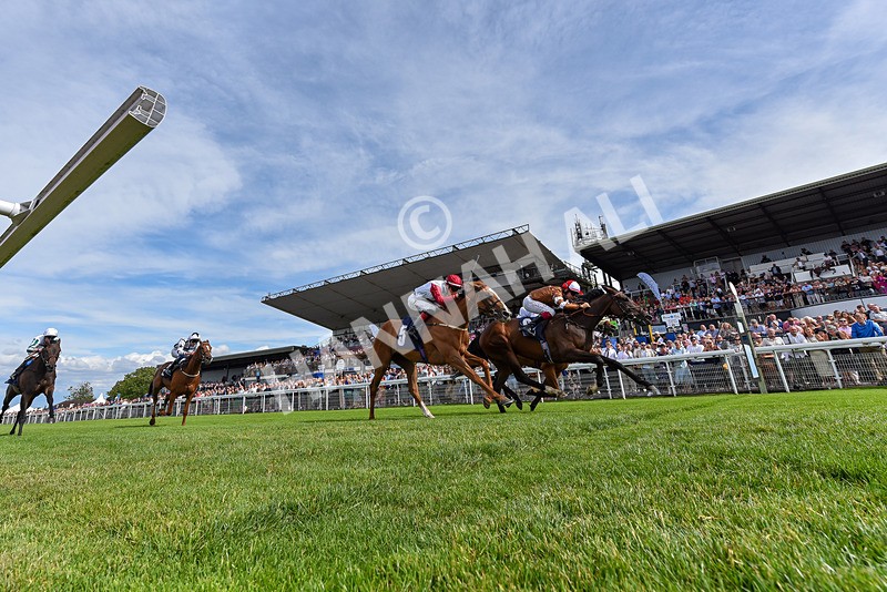 050725-Race 5-Take A Breath-6121