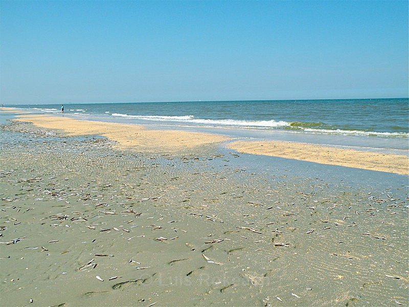  - Sea