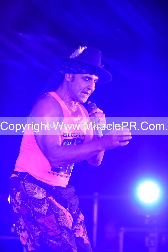 SH4_4628 - Chico
