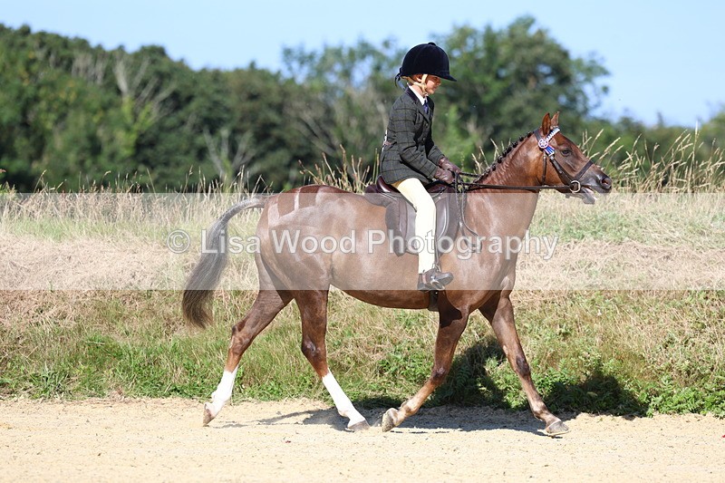 3E7A7883 - Class 14: Tack and Turnout