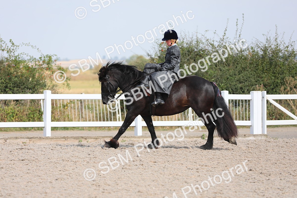 SBM_14563 - Class 211 Best Side Saddle Horse/Pony