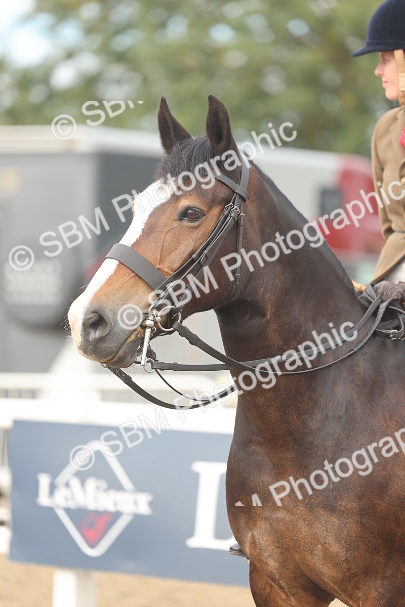 SBM_01933 - Class 14 - Ridden M&M Wildcard