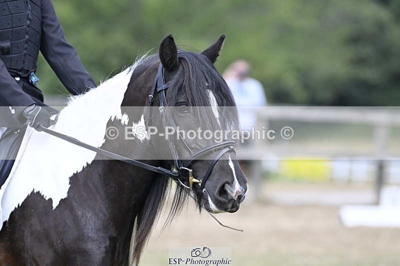 250821A-114350-15312 - DR 11.00 to 12.00