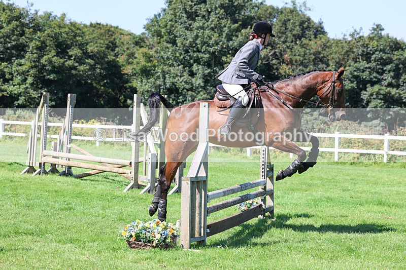 3E7A8307 - Class 4: Novice working Hunter