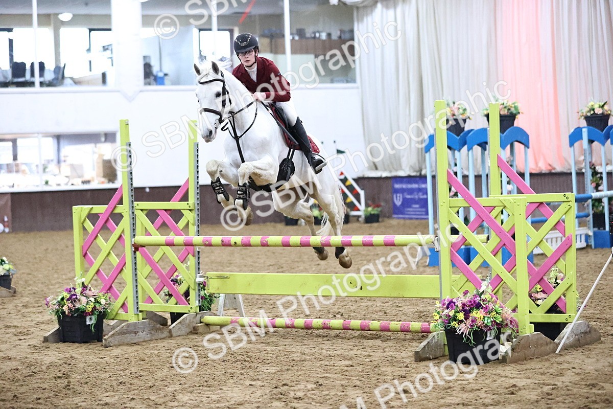 SBM_002024 - Class 8 - Senior British Novice - 90cm