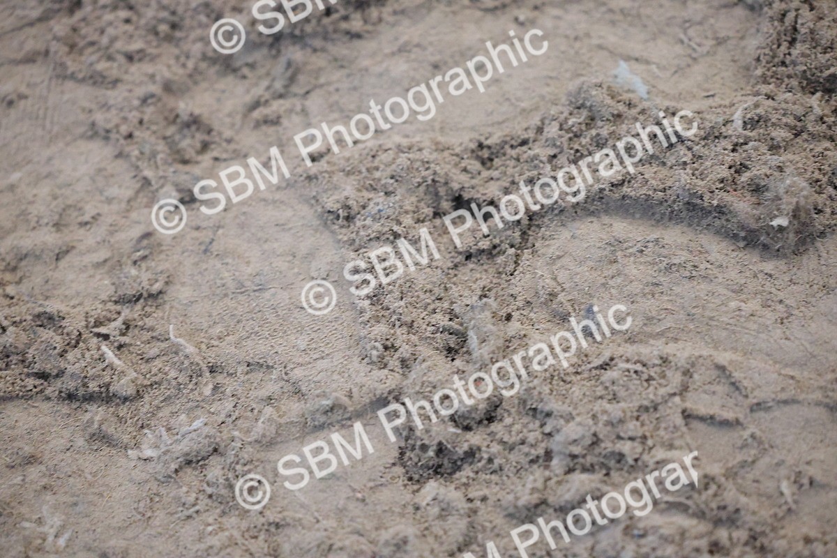 SBM_000050 - Class 1-4 - 40cm Assisted-Non Lead Rein BRC Champs