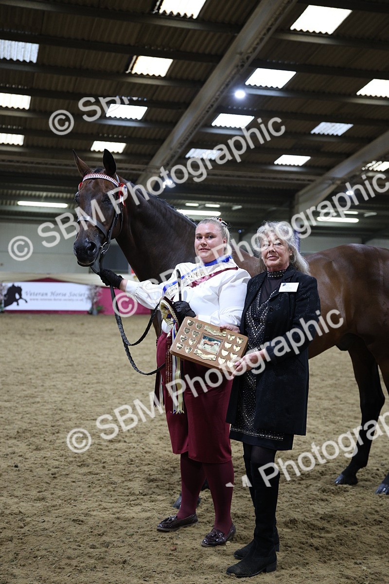 SBM_18843 - Class E IH Horse Champ