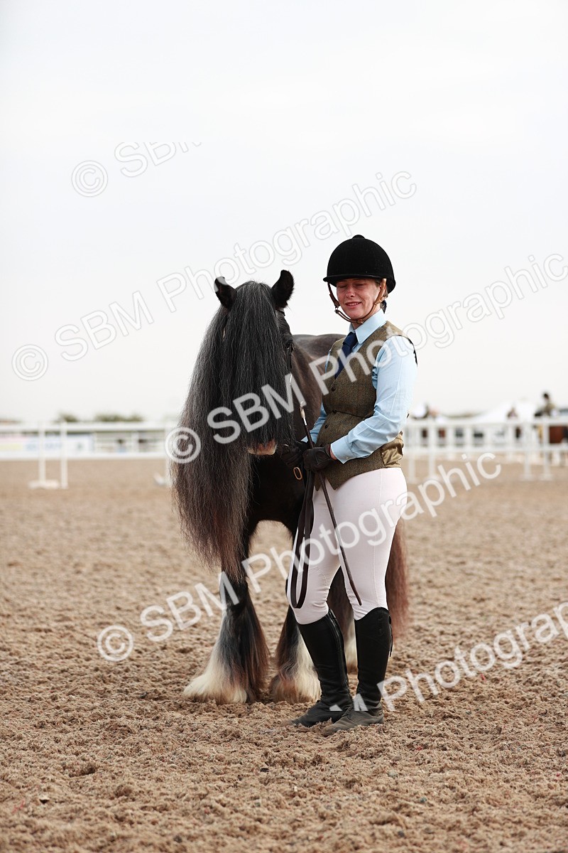 SBM_09527 - Class 201 Best Turned Out IH