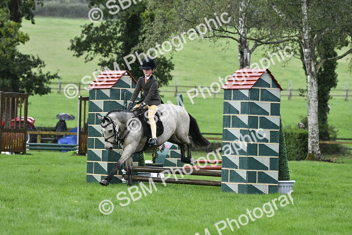 SBM_35521 - S30 - Nursery Stakes Working Hunter Pony
