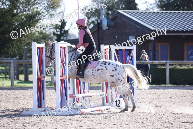 20251005-0120 - Class 2 - 50cm