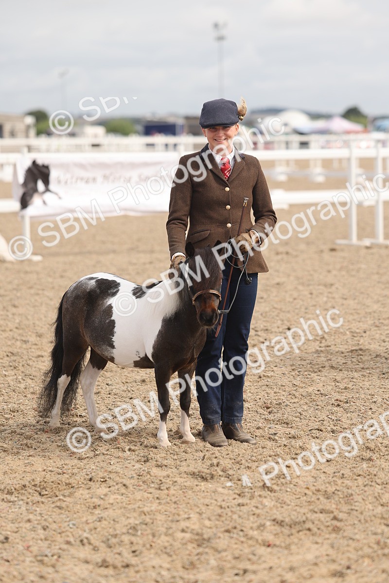 SBM_04564 - Class 19 - Horse/Pony Judge would most like to take home