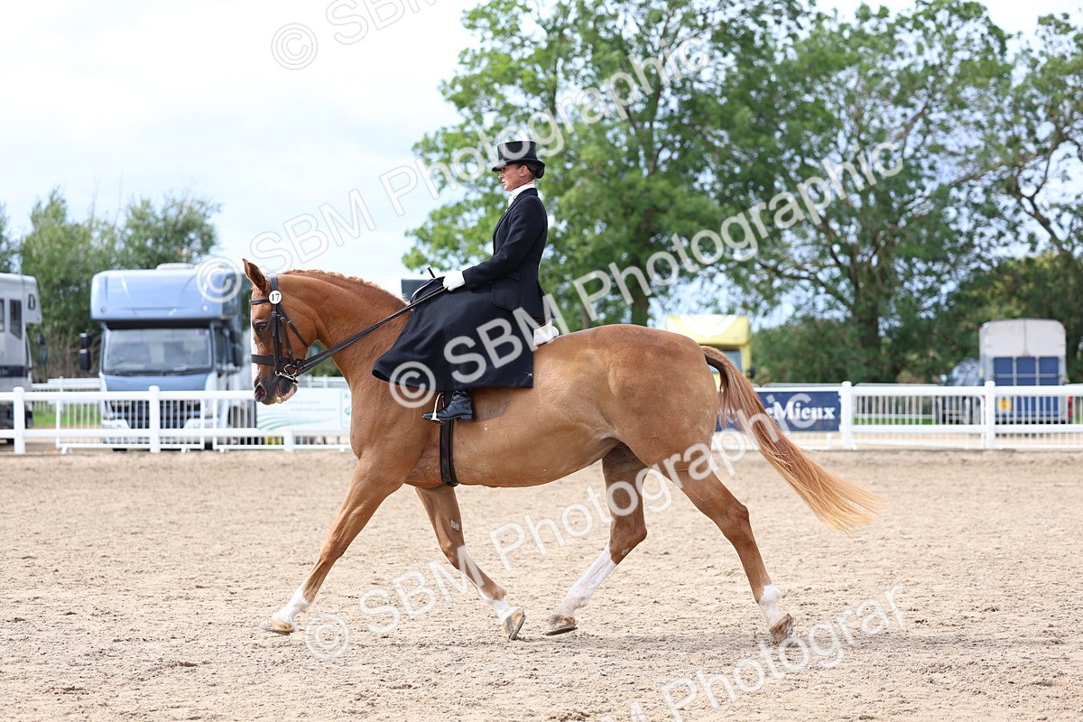 SBM_03448 - Class 24 - SSA Concours d'elegance (any age)