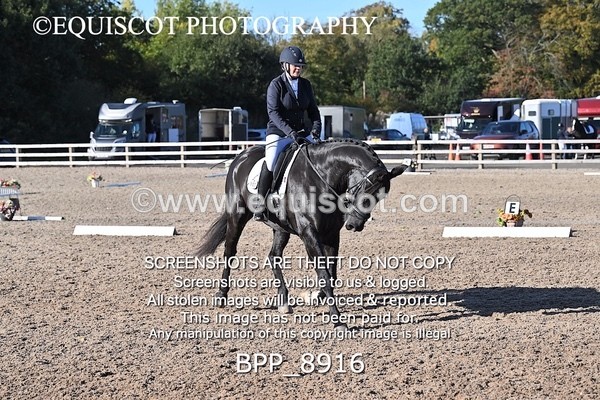 BPP_8916 - LONG ARENA