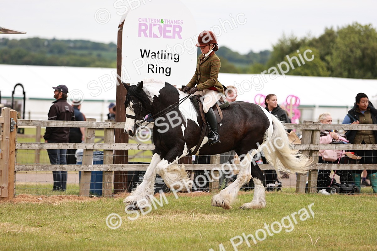 SBM_06152 - Class 39-41 TGCA In Hand and Ridden