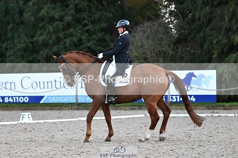 231110-164051-02736 - Cls 14 FEI Grand Prix