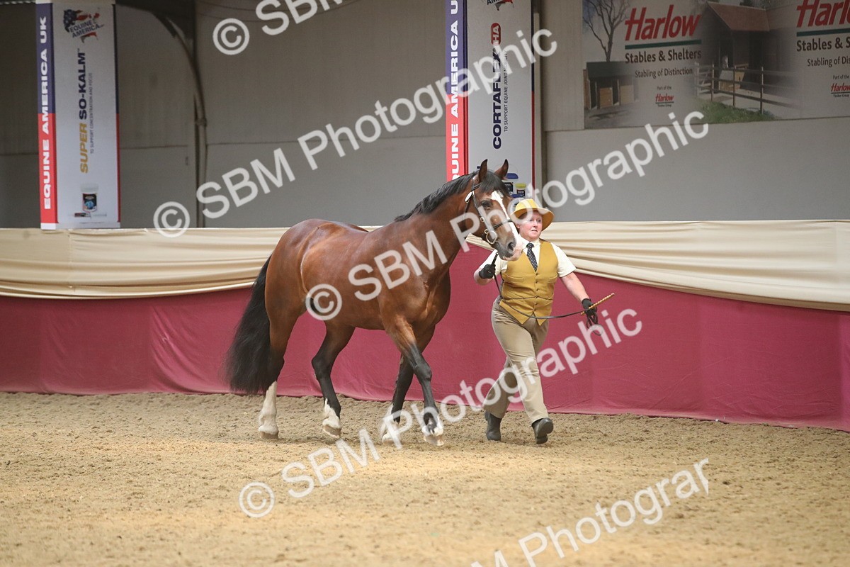 SBM_05548 - Class 9R - Regional IH Pre-Vet